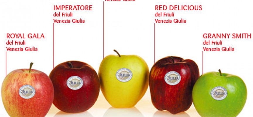Mela del Friuli Venezia Giulia OEM - Spilimbergo | Secret World Trip Planner