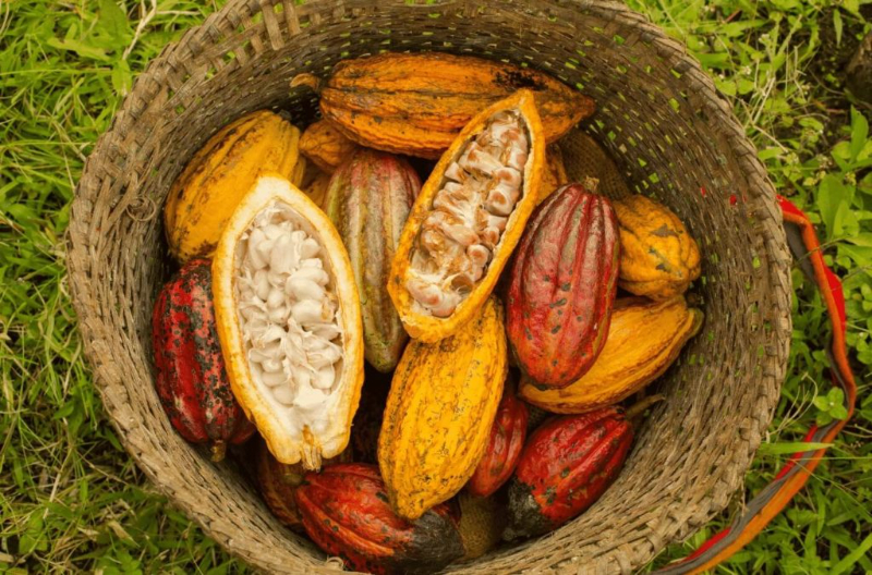 Quito, Ekvador - Quito | Secret World Trip Planner