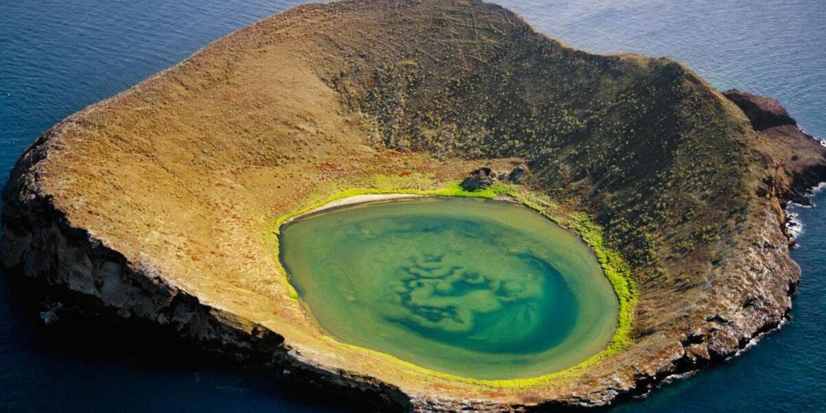 Rocas Bainbridge, une chaîne de cônes volcaniques au large des Galapagos — Rocas Bainbridge