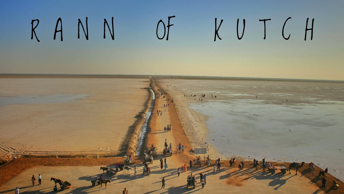 The Great Rann of Kutch in the Thar Desert - Distretto del Kutch | Secret World Trip Planner