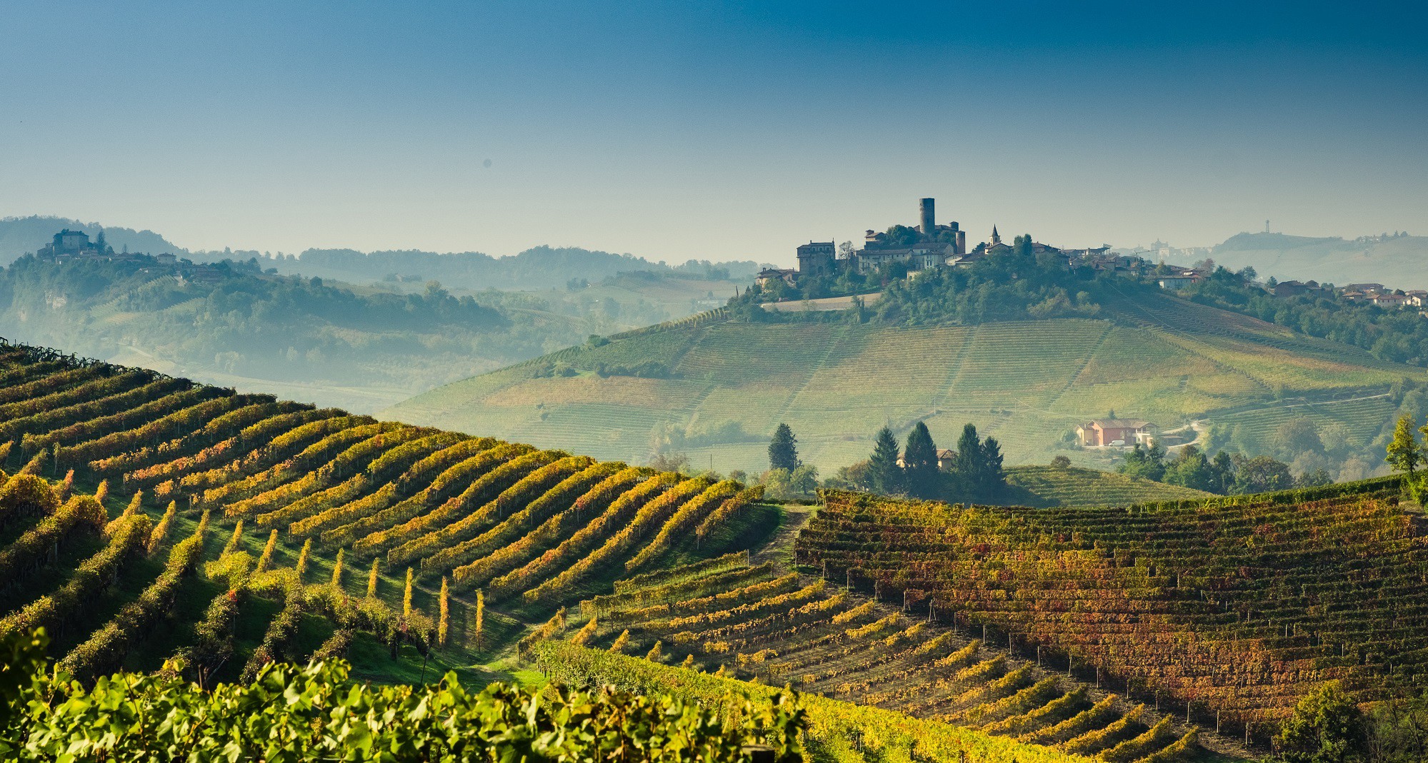 Barolo နှင့် ၎င်း၏ဝိုင် - Barolo | Secret World Trip Planner