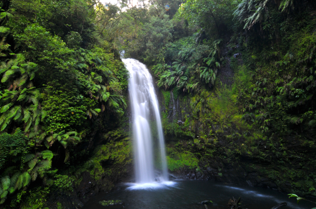 Lokobe Nature Reserve - Ampasipohy | Secret World Trip Planner