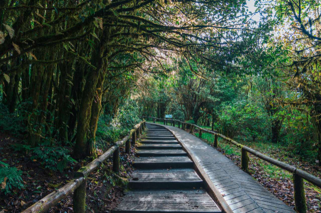 Doi Inthanon Nationalpark - Tambon Ban Luang | Secret World Trip Planner