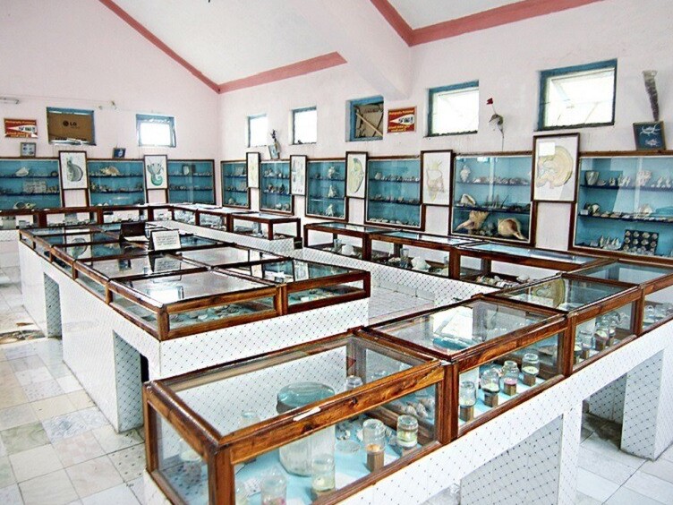 Diu: Nihan Museum - Nagoa Beach Rd | Secret World Trip Planner