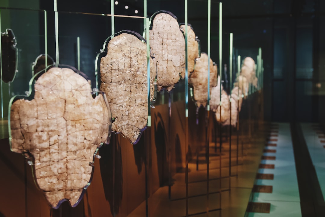 Diu: Nihan Museum - Nagoa Beach Rd | Secret World Trip Planner
