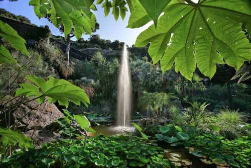 ಇಶಿಯಾ ಮತ್ತು ಗಾರ್ಡನ್ಸ್ ಲಾ ಮೊರ್ಟೆಲ್ಲಾ - Forio | Secret World Trip Planner