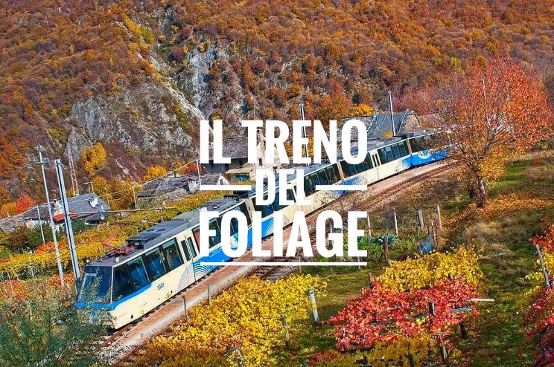 Follaxe co Ferrocarril Centovalli - Domodossola | Secret World Trip Planner