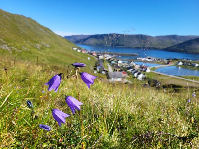 Skarsvåg žvejų kaimas - Skutnesveien | Secret World Trip Planner