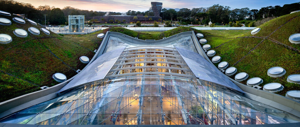 The California Academy of Sciences in San Francisco - San Francisco | Secret World Trip Planner