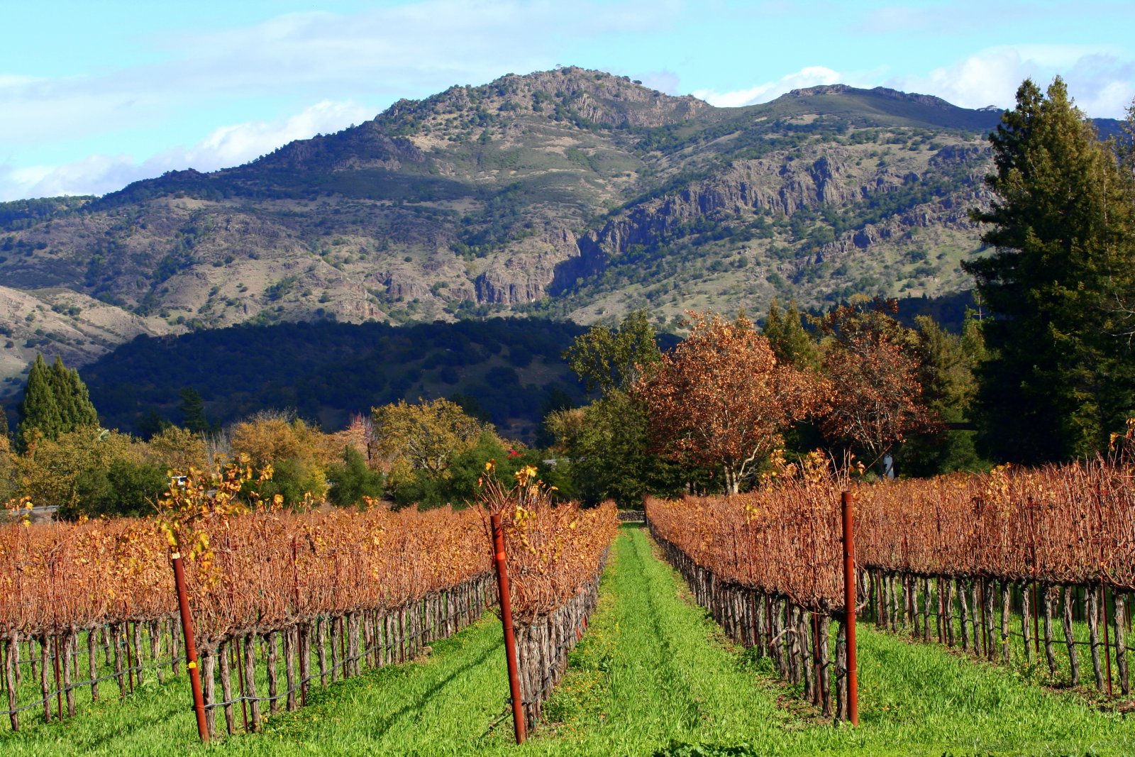 Napa Valley: Beringer Vineyards - Saint Helena | Secret World Trip Planner