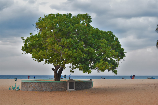 Kallady-stranden - Kallady | Secret World Trip Planner