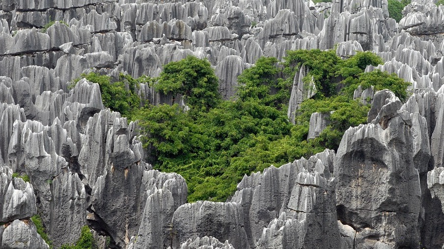 La Foresta Di Pietra, Una Meraviglia Indimenticabile