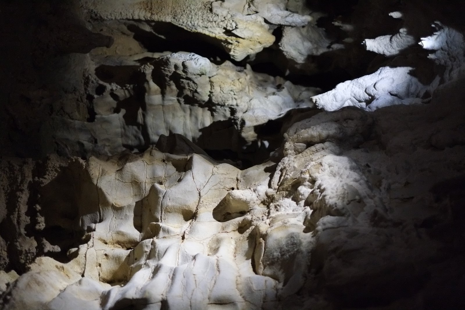 Waitomo Caves, un cielo stellato in caverna - Waitomo | Secret World Trip Planner