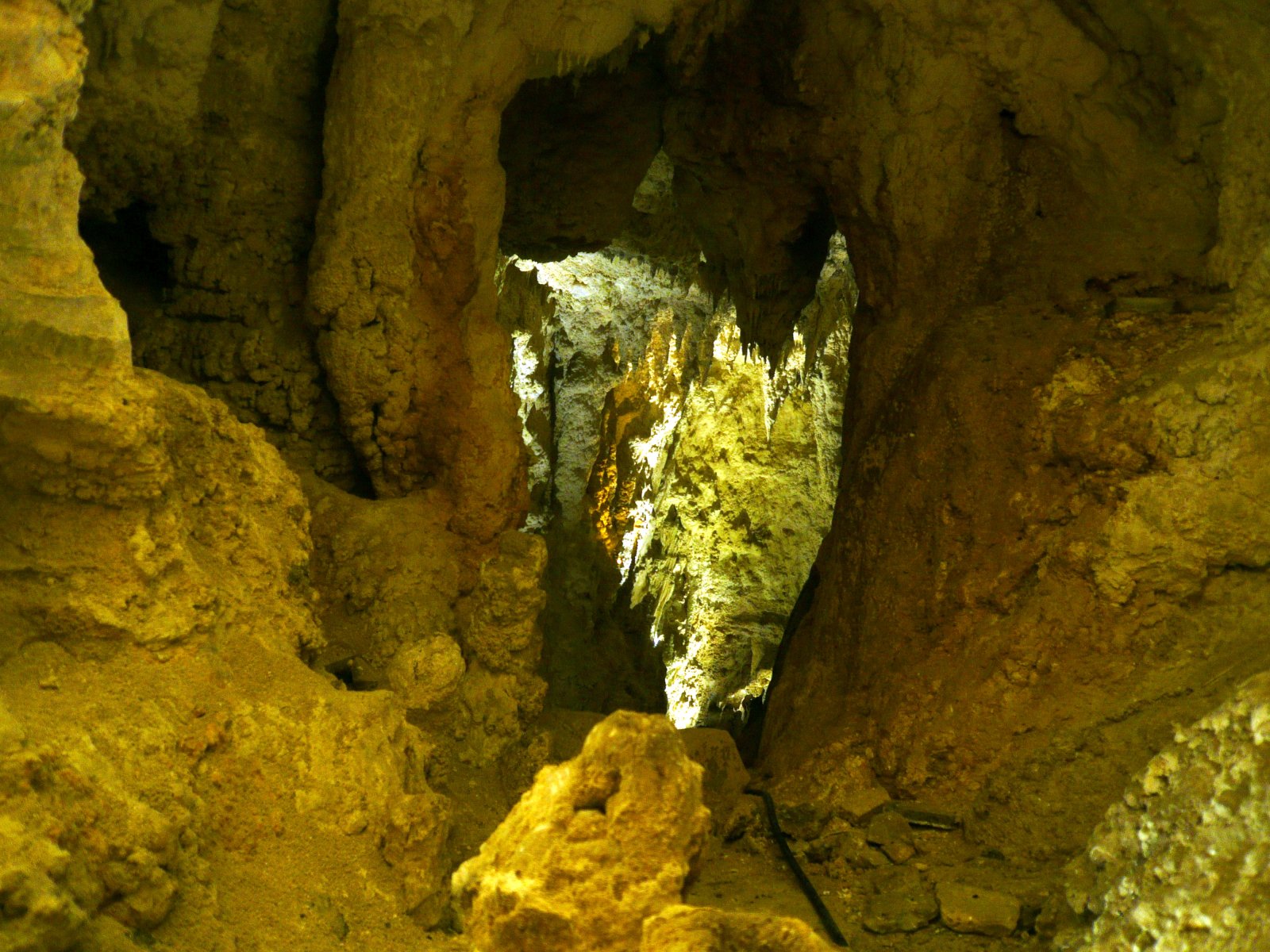 Waitomo Caves, un cielo stellato in caverna - Waitomo | Secret World Trip Planner