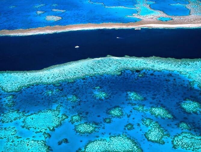 Das Great Barrier Reef | Australien - Grande barriera corallina | Secret World Trip Planner