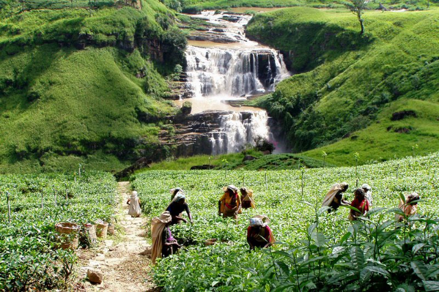 Cataratas de St. Clair: as pequenas cataratas do Niágara - Thalawkele | Secret World Trip Planner