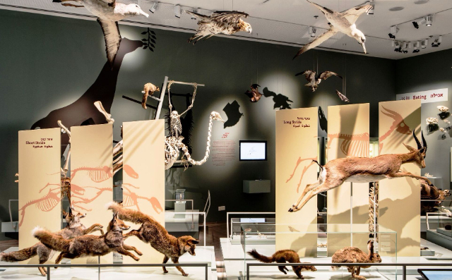Museum Sejarah Alam Steinhardt - Tel Aviv-Yafo | Secret World Trip Planner