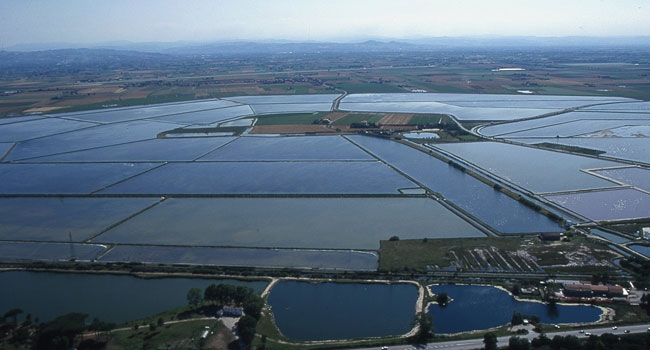 Přírodní rezervace Salina di Cervia - 61 | Secret World Trip Planner
