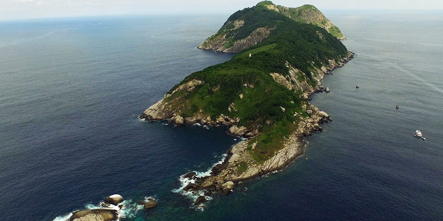 The Snake Island - Ilha da Queimada Grande  - Isola di Queimada Grande | Secret World Trip Planner