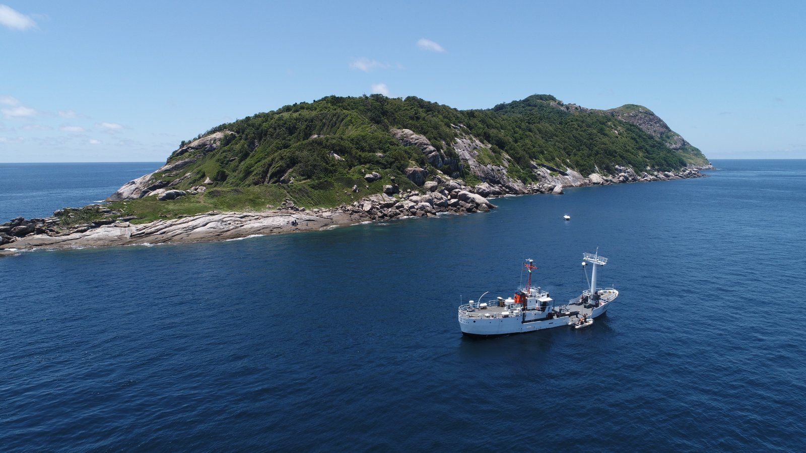 The Snake Island - Ilha da Queimada Grande  - Isola di Queimada Grande | Secret World Trip Planner