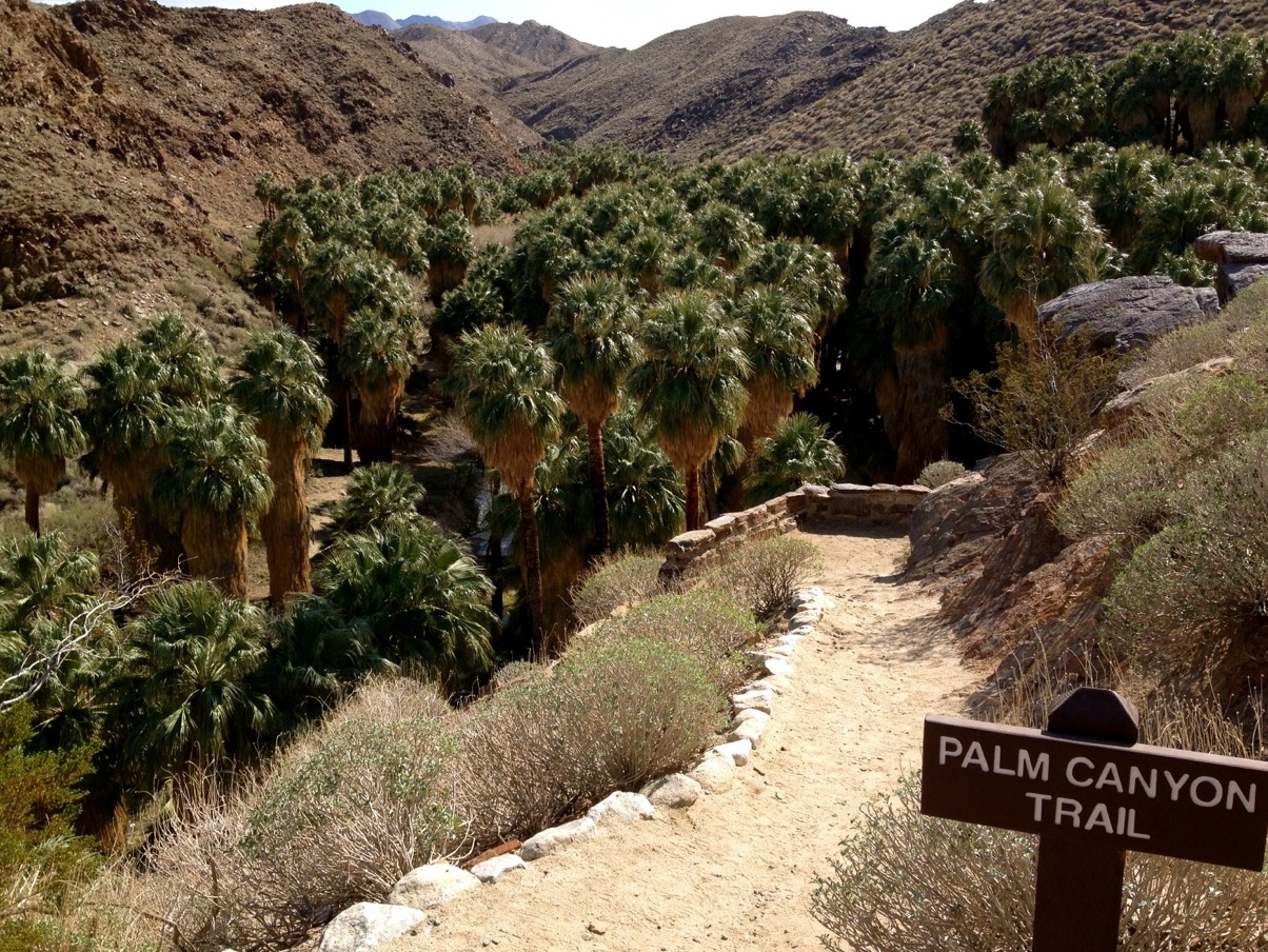 Canyons Da Índia — Palm Springs