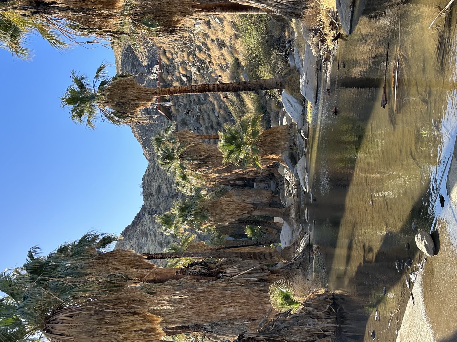 Canyons Da Índia - Palm Springs | Secret World Trip Planner
