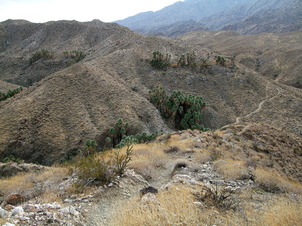 Canyons Da Índia - Palm Springs | Secret World Trip Planner