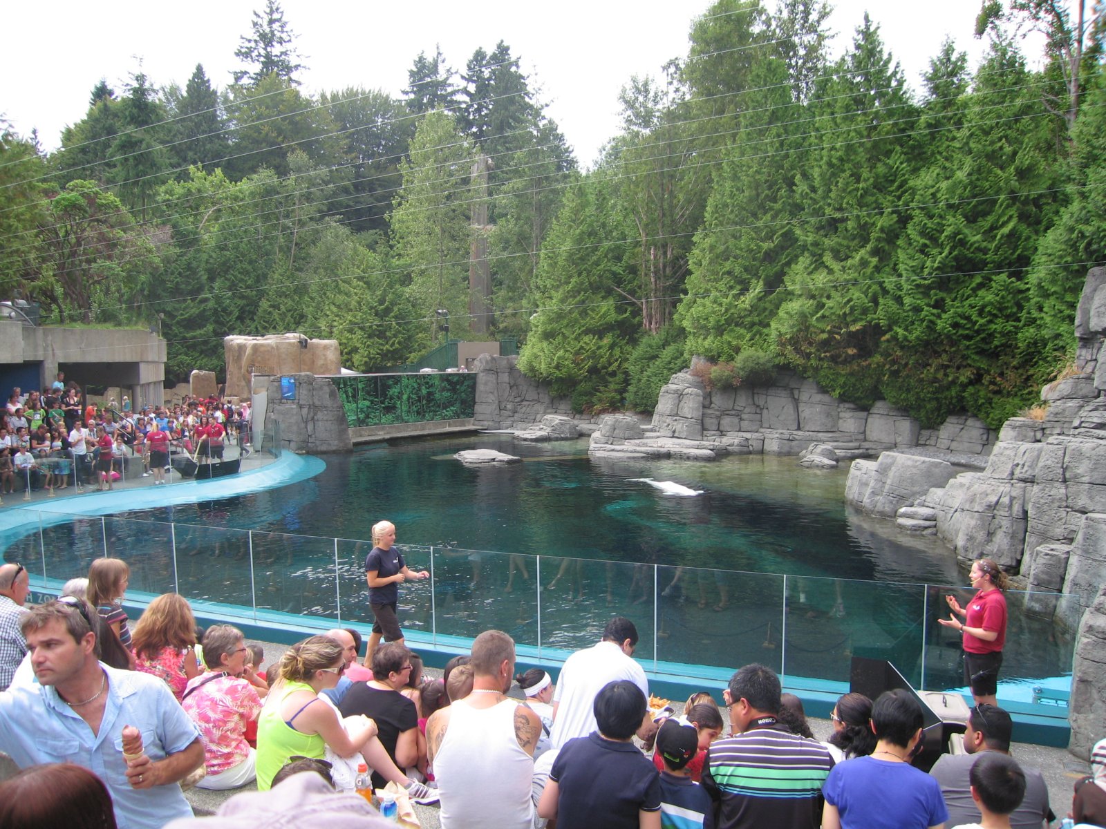 L'aquarium de Vancouver - Vancouver | Secret World Trip Planner