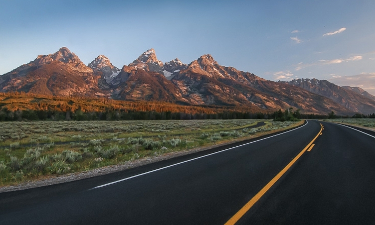 Il Parco del Grand Teton — Moose