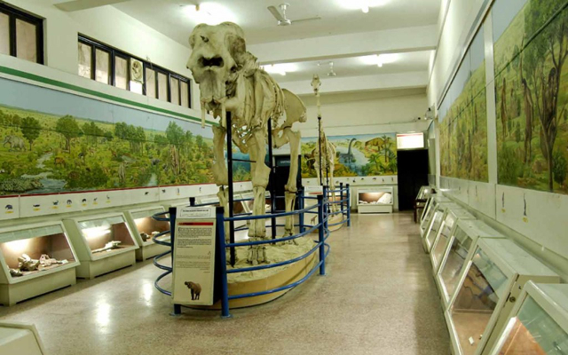 巴基斯坦自然历史博物馆（PMNH） - Islamabad | Secret World Trip Planner