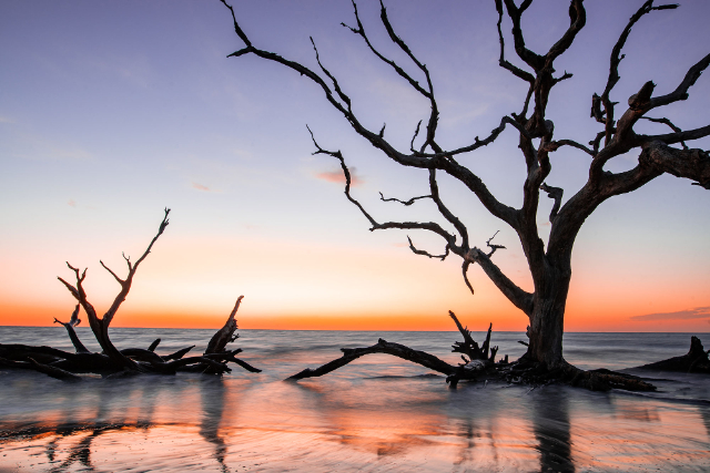 Остров Джекилл - Jekyll Island | Secret World Trip Planner
