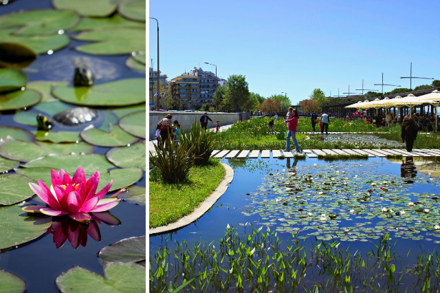 Giardino d'acqua: Un'oasi di tranquillità nel cuore di Salonicco - Thessaloniki | Secret World Trip Planner