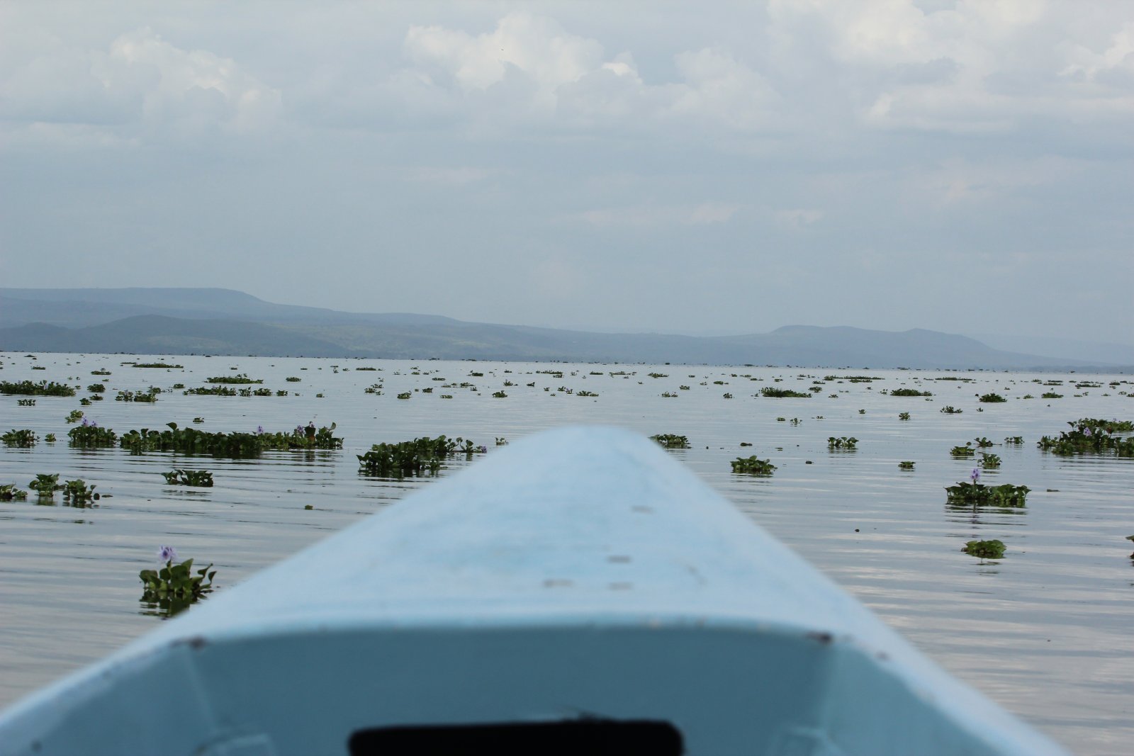 Lac Naivasha - Lago Naivasha | Secret World Trip Planner