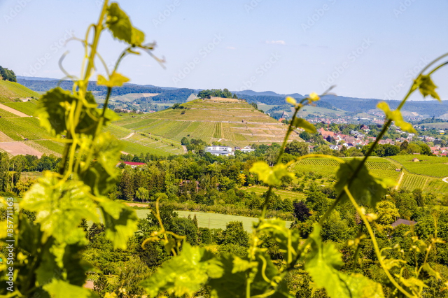 Weinsberg: La città della fedeltà leggendaria e del vino senza tempo - Weinsberg | Secret World Trip Planner