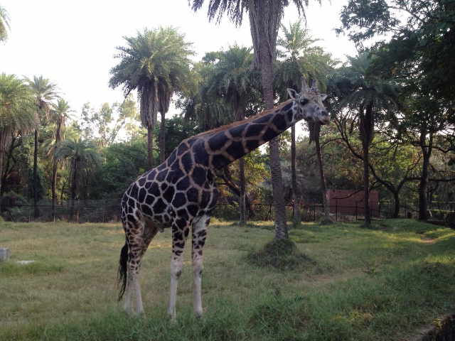Parc zoologique de Nehru - Hyderabad | Secret World Trip Planner