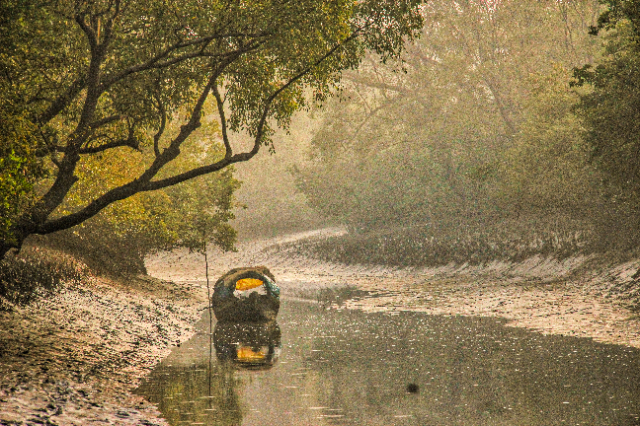 La forêt de réserve des Sundarbans (SRF) | Secret World Trip Planner
