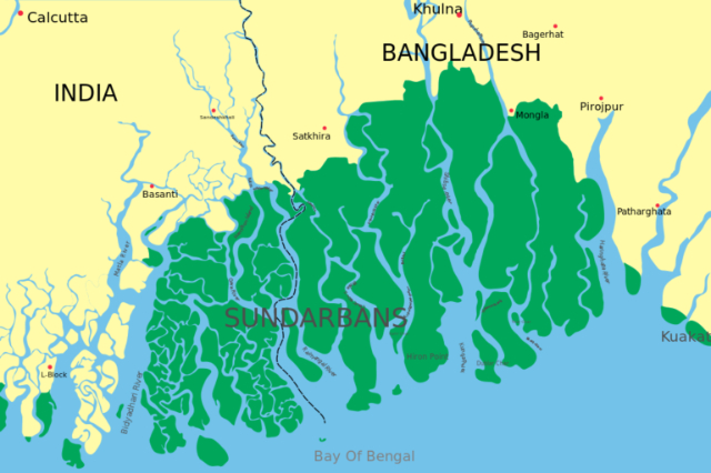 La forêt de réserve des Sundarbans (SRF) | Secret World Trip Planner