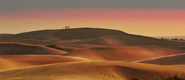 Le désert du Cholistan, - Cholistan Desert | Secret World Trip Planner