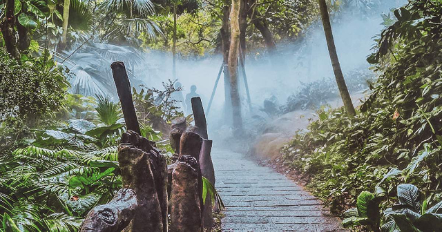 Il mondo della foresta pluviale - Xiamen | Secret World Trip Planner