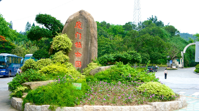 Il mondo della foresta pluviale - Xiamen | Secret World Trip Planner