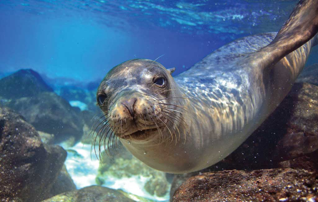 Národný morský park Alonnisos a Severné Sporady - Alonnisos | Secret World Trip Planner