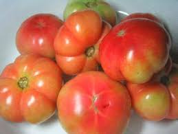 Sorrento POmodori - Sorrento | Secret World Trip Planner