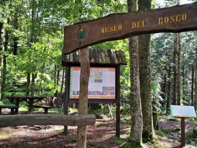 Muzium Hutan - Lago delle Lame | Secret World Trip Planner