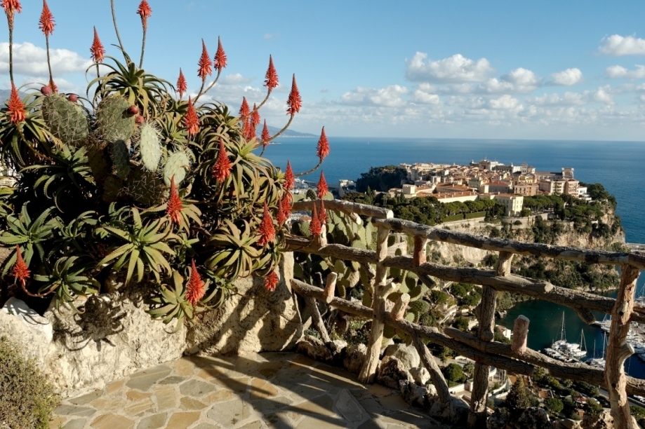 Eksotik Taman Munich - Monaco | Secret World Trip Planner