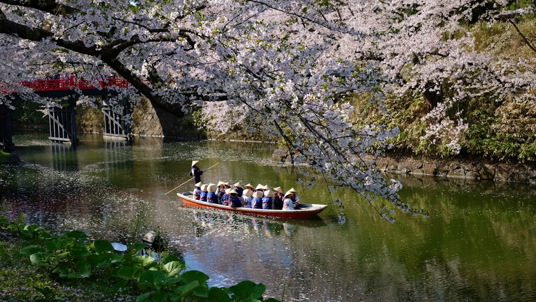 Hirosaki Park är en av Japans bästa cherry blossom fläckar - ??? | Secret World Trip Planner