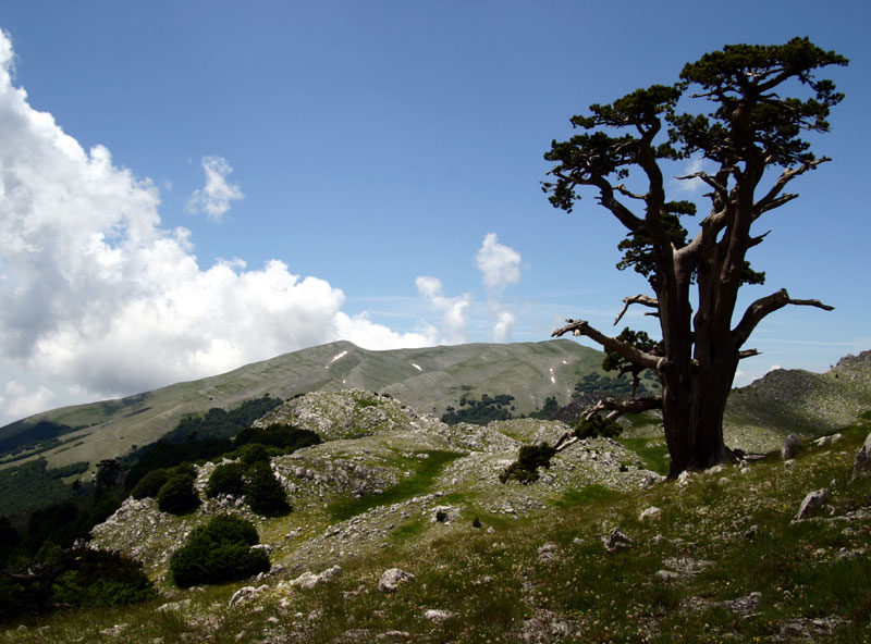 Pollino parks - Terranova di Pollino | Secret World Trip Planner