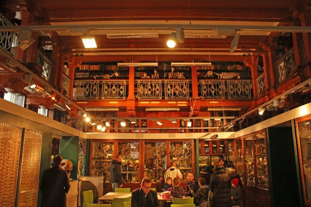 Grant Museum of Zoology - 21 University St | Secret World Trip Planner