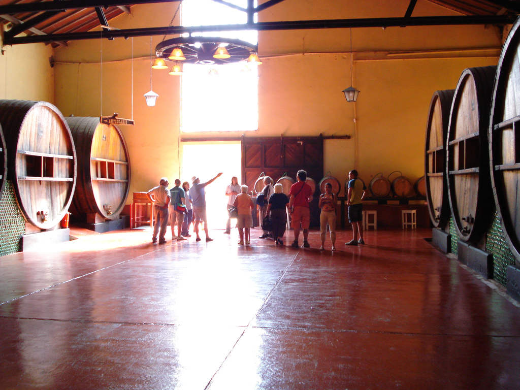 Scoprire i Vini di Mendoza: Un'Esperienza Sensoriale - Rivadavia 234 | Secret World Trip Planner