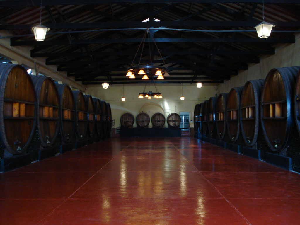 Scoprire i Vini di Mendoza: Un'Esperienza Sensoriale - Rivadavia 234 | Secret World Trip Planner