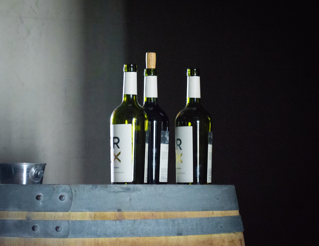 Discover the Wine Experience in Mendoza, Argentina - Rivadavia 234 | Secret World Trip Planner